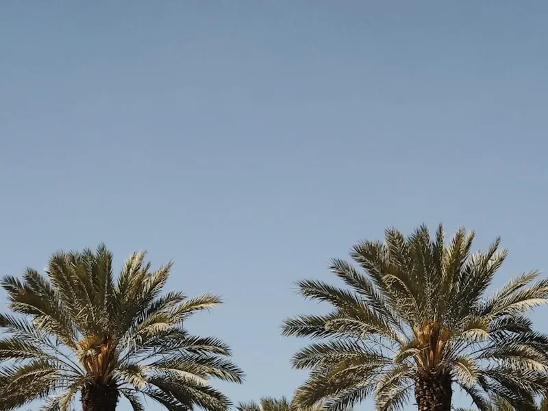 Orlando, FL trailer rentals